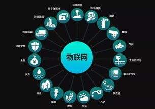 數(shù)字與數(shù)據(jù)經(jīng)濟(jì)兩翼齊飛，助推物聯(lián)江西建設(shè)中的軟件開發(fā)